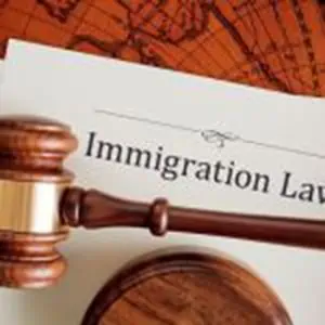 Trump’s Public Charge Rule Will Not Affect O Visa Applicants