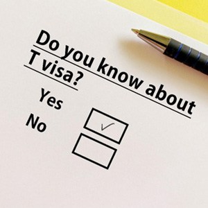 Understanding The T Visa And Its Purpose - Coral Gables, FL